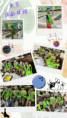 /album/%e6%88%b6%e5%a4%96%e6%95%99%e5%ad%b8-%e4%bf%9d%e9%bd%a1%e7%90%83%e8%b6%a3-114-07-21/line-album-20250721%e6%89%93%e4%bf%9d%e9%bd%a1%e7%90%83%e8%b6%a3-250724-3-%28%e4%b8%ad%29-jpg/